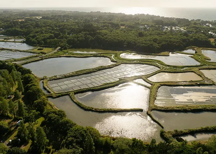 Campeggio Sunelia Le Petit Bois Mesquer