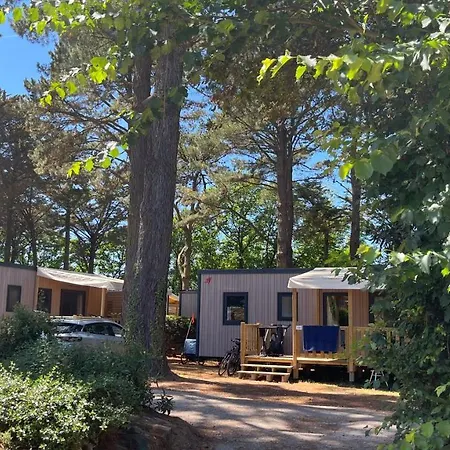 Sunelia Le Petit Bois *