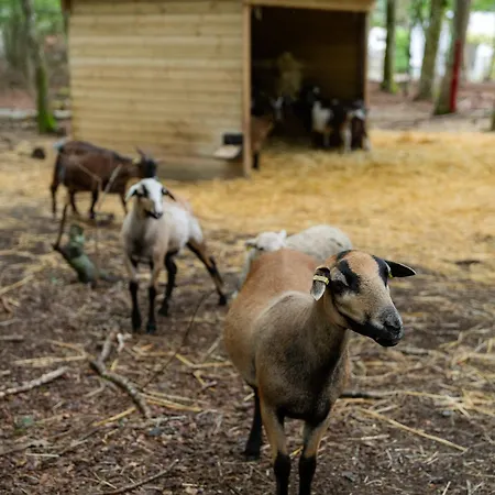 Sunelia Le Petit Bois אתר קמפינג *