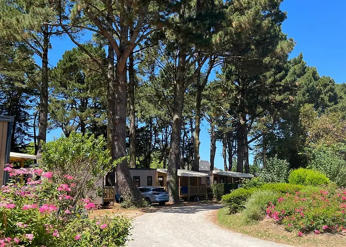 Sunelia Le Petit Bois