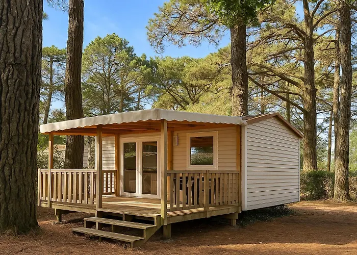 Kamp alanı Sunelia Le Petit Bois